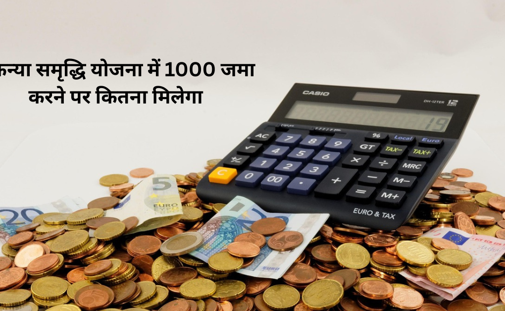 सुकन्या समृद्धि योजना में 1000 जमा करने पर कितना मिलेगा सुकन्या समृद्धि योजना में 1000 जमा करने पर कितना मिलेगा